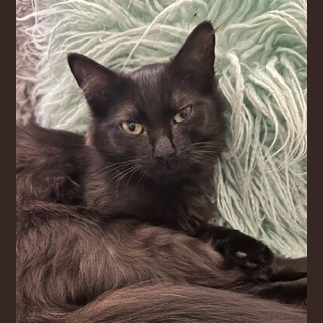 Photo of Gwen 