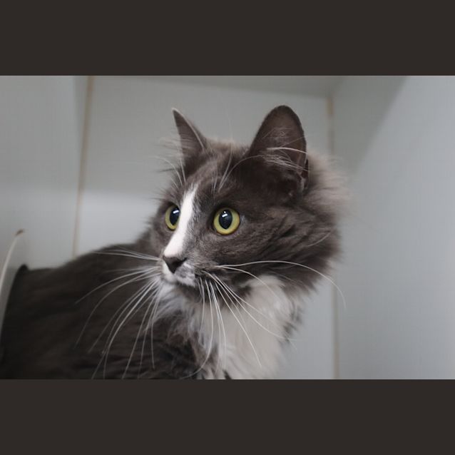 Photo of Lucy