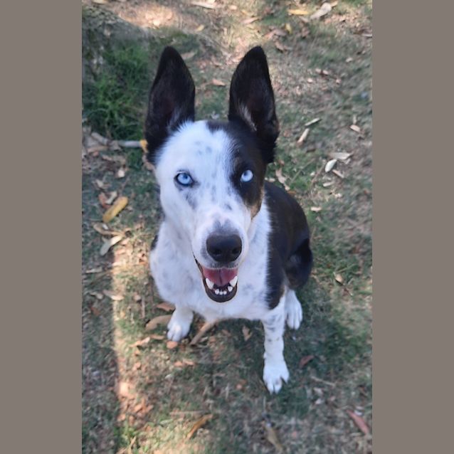 Photo of Tess