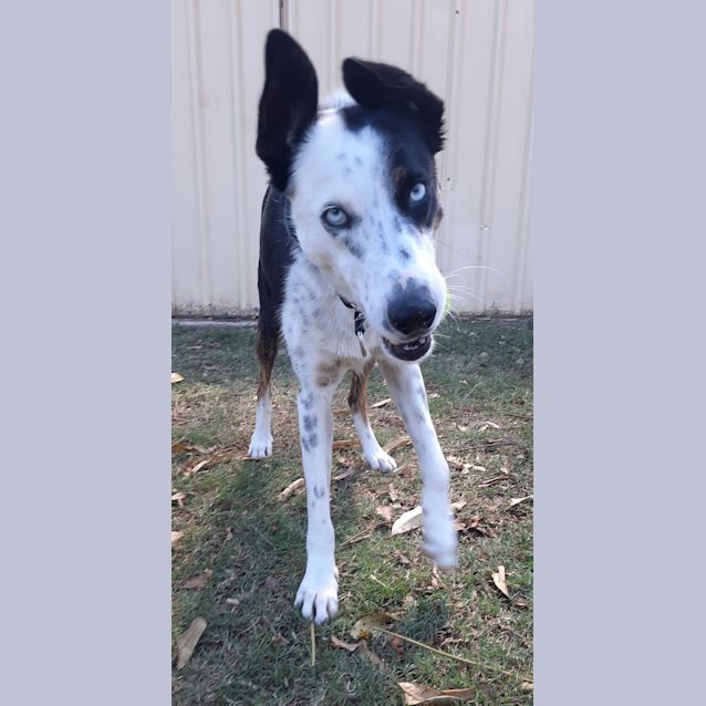 Photo of Tess