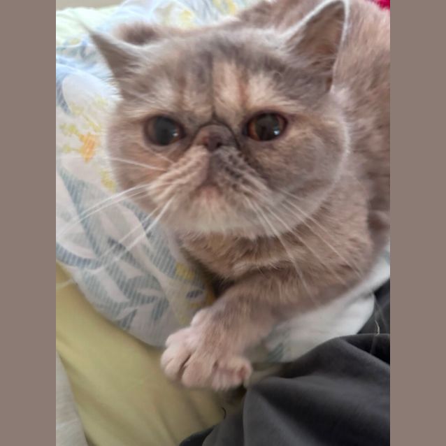 Photo of ❤️mimi❤️