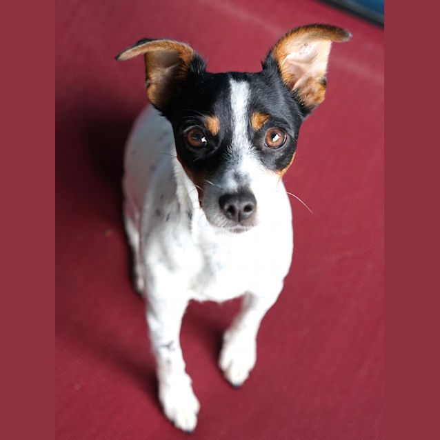 Photo of Artemis