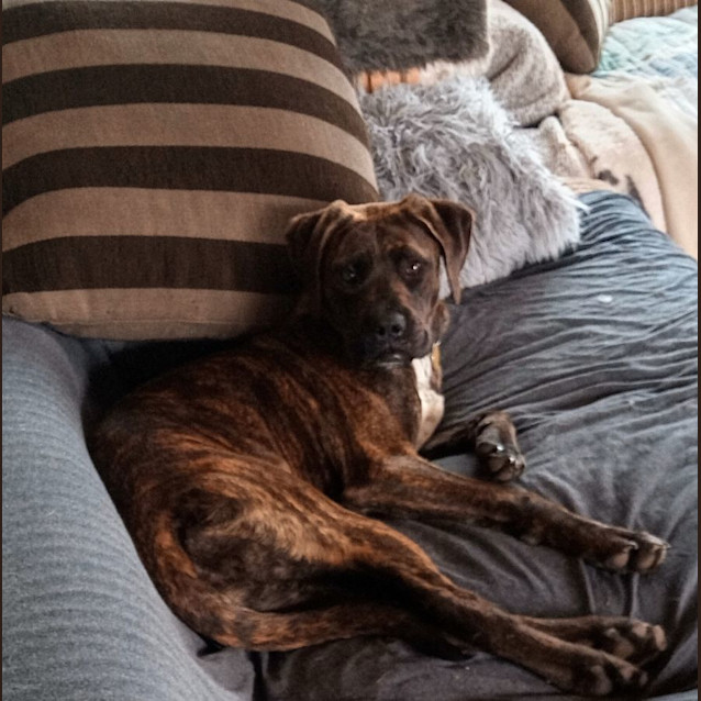 Photo of Cinzano