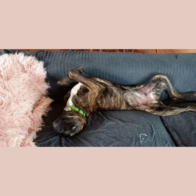 Photo of Cinzano