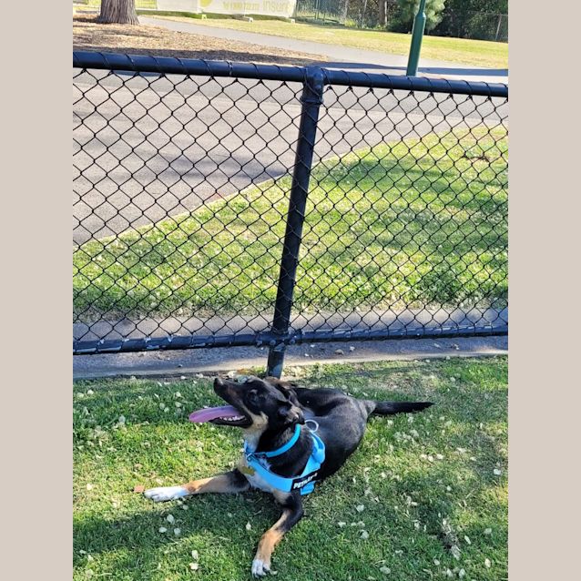 Photo of Canela