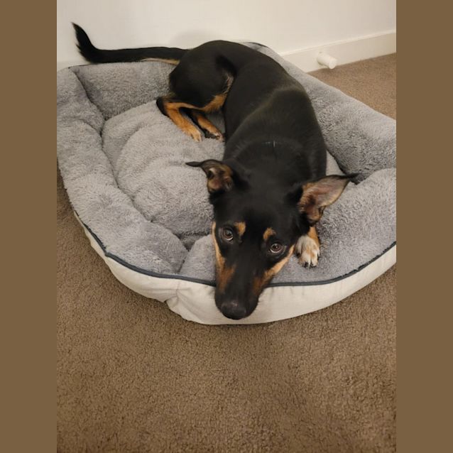 Photo of Canela