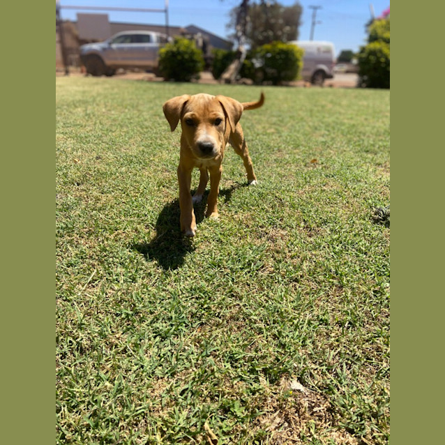 Photo of Suzie