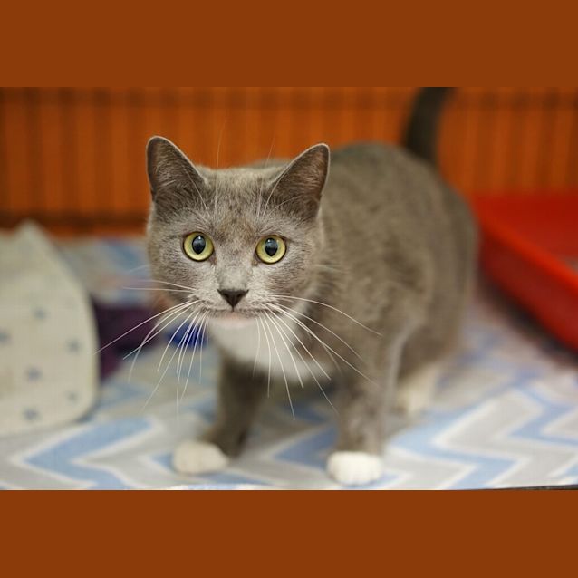 Photo of Lexi