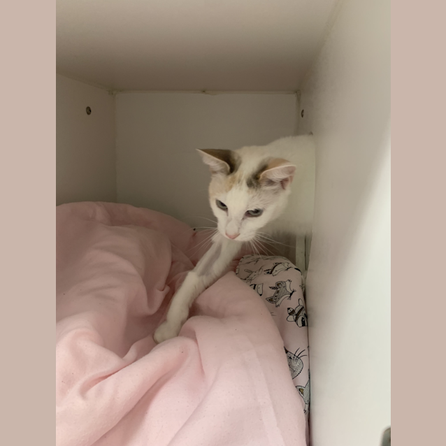Photo of Skye