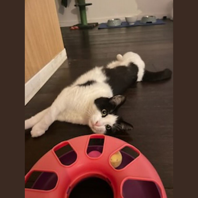 Photo of Janet