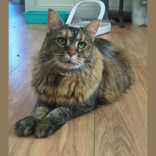 Photo of Chloe