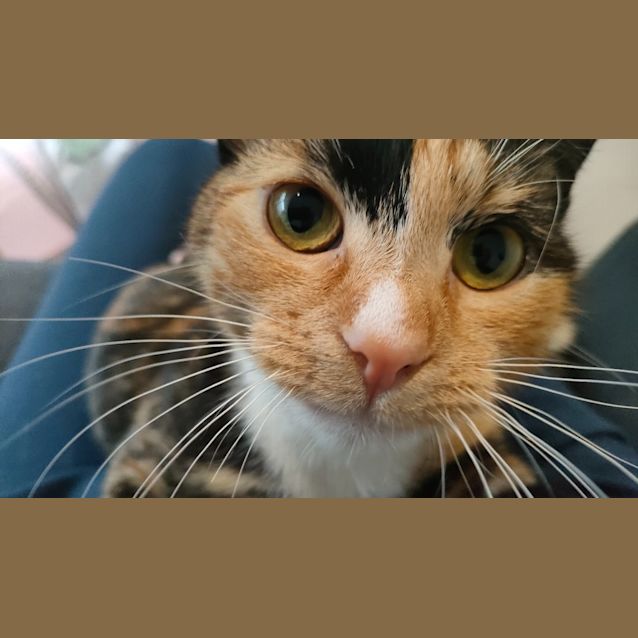 Photo of Chloe