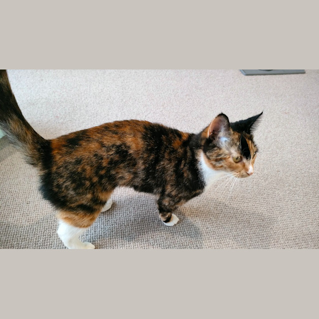 Photo of Chloe