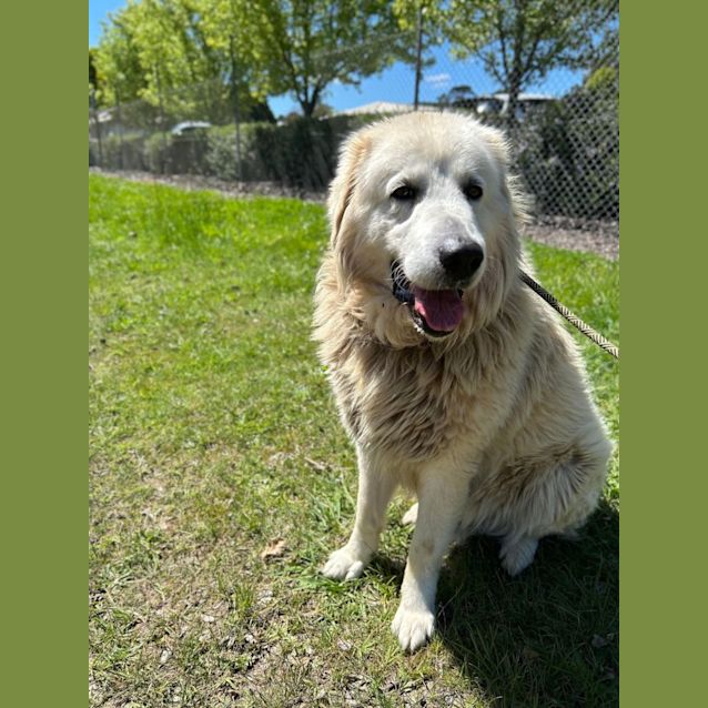 Photo of Axel