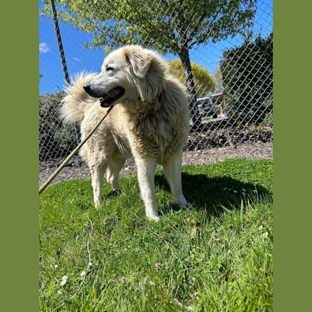 Photo of Axel