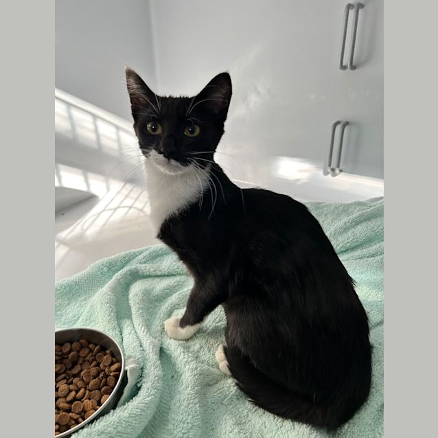 Photo of Stretch
