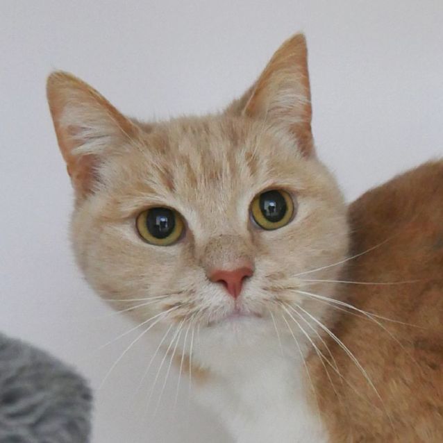 Photo of Lucy Sua011700