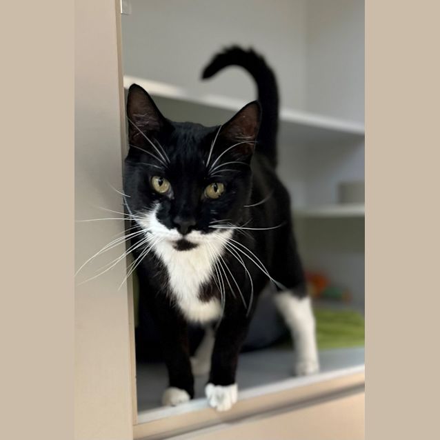 Photo of Adam (9754)