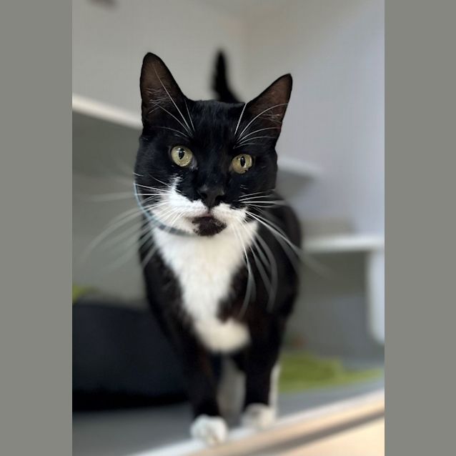 Photo of Adam (9754)