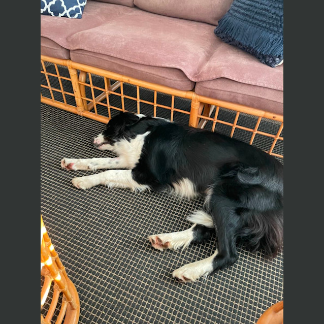 Photo of Maggie 