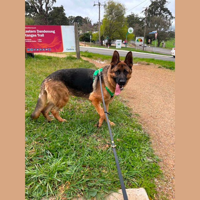 Photo of Daisy