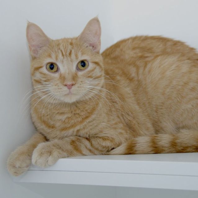 Photo of Lucy
