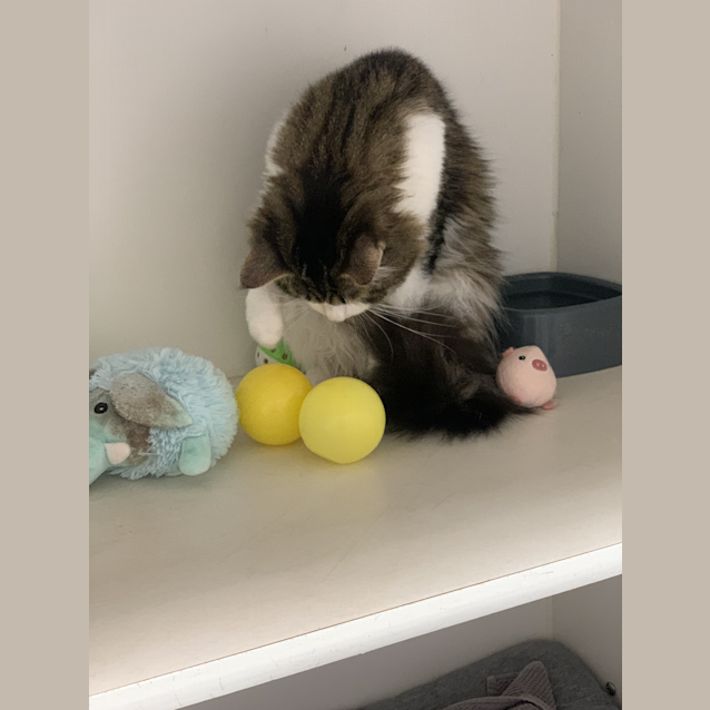 Photo of Buzz