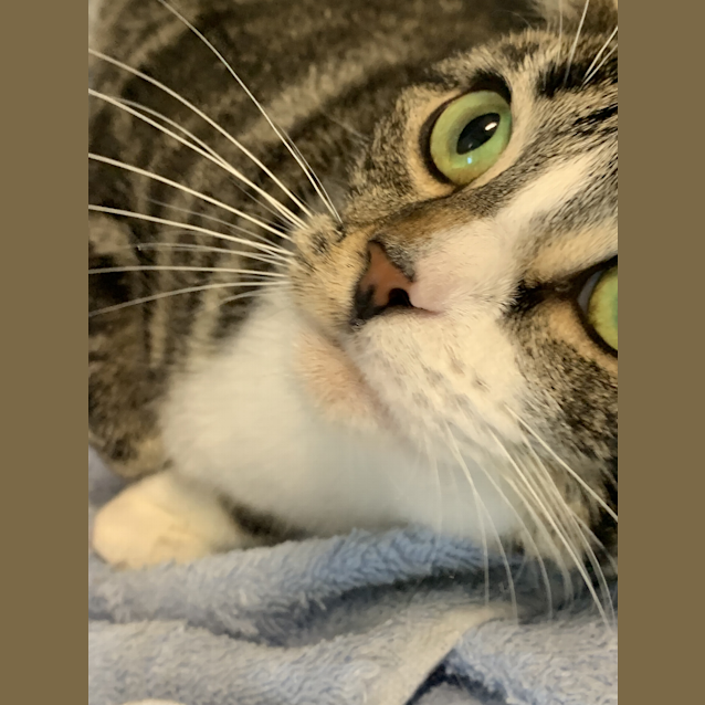 Photo of Meredith