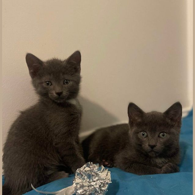 Photo of Peter And Bruce