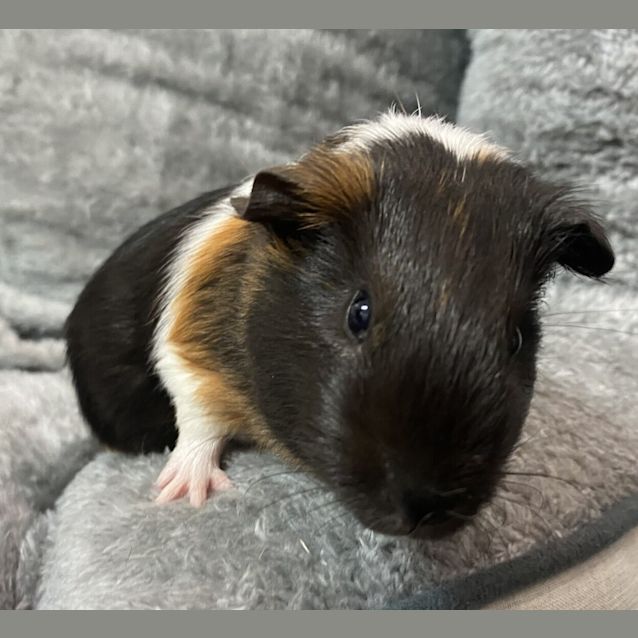 Photo of Johnathon