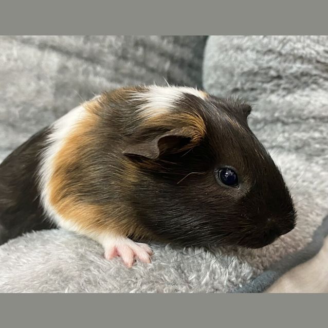Photo of Johnathon
