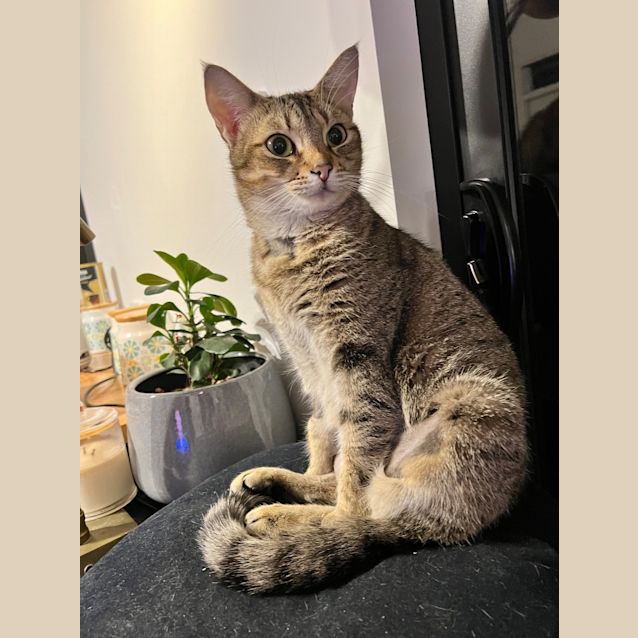 Photo of Twyla