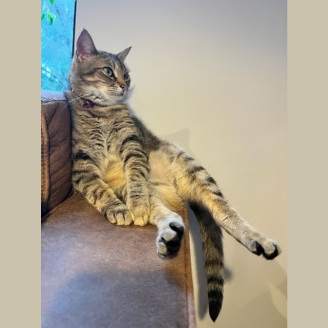 Photo of Twyla