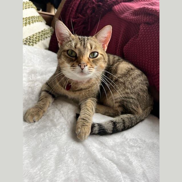 Photo of Twyla
