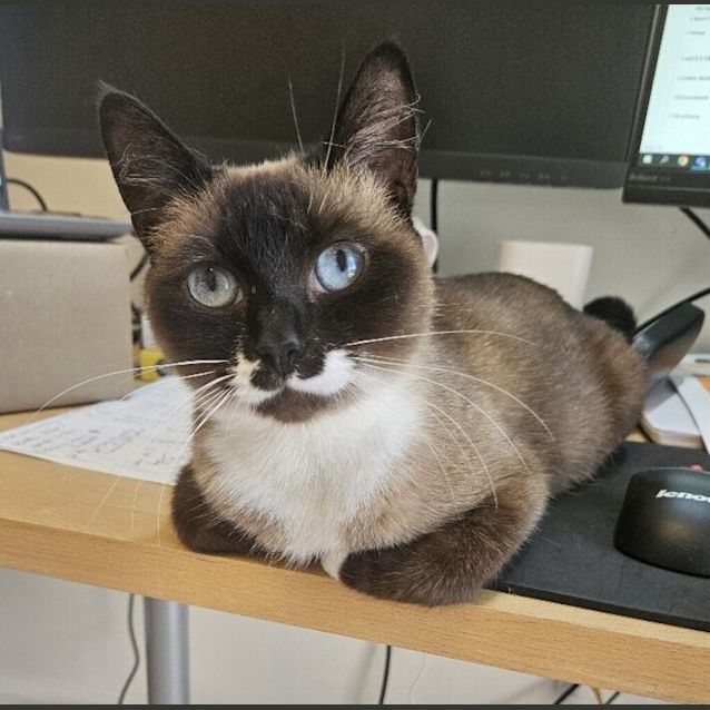 Photo of Duchess