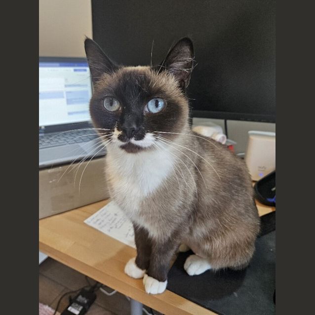 Photo of Duchess