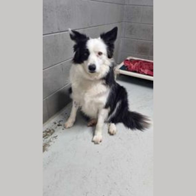 Photo of Buster