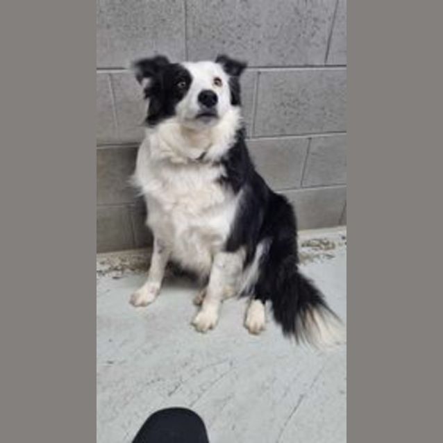 Photo of Buster