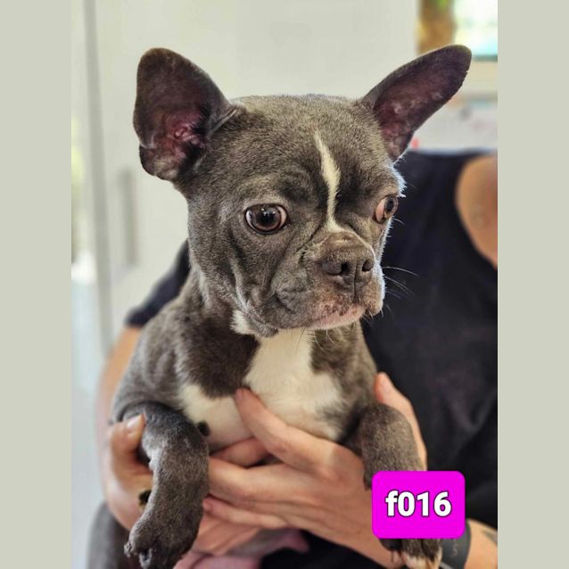 Photo of Matilda