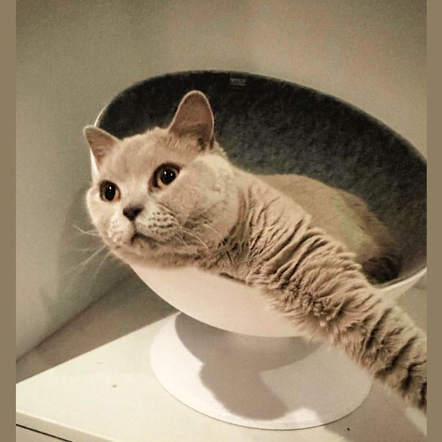 Photo of 💅Lilah💅