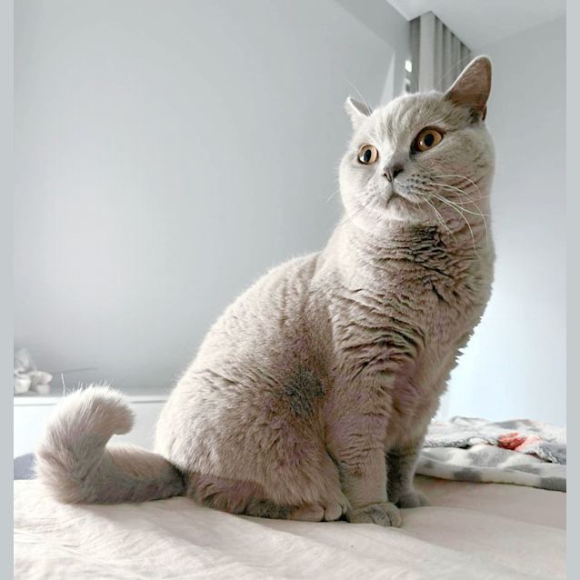 Photo of 💅Lilah💅