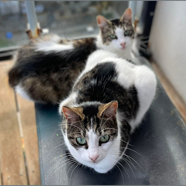 Photo of Lottie And Tilly 🌸🌻