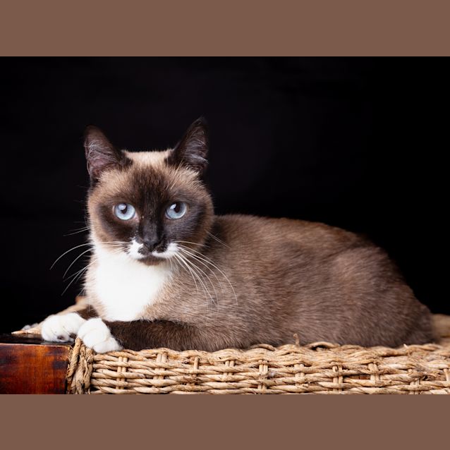 Photo of Duchess