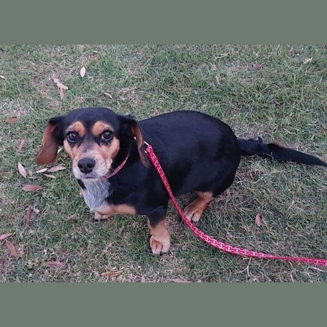 Photo of Bella Stella