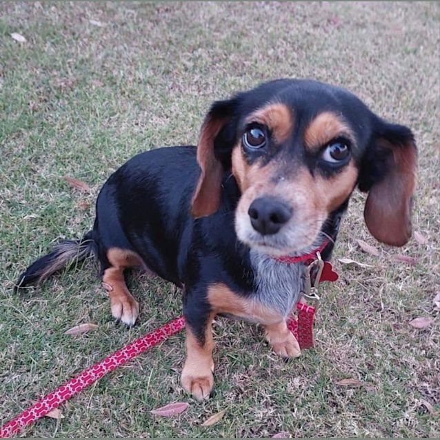 Photo of Bella Stella