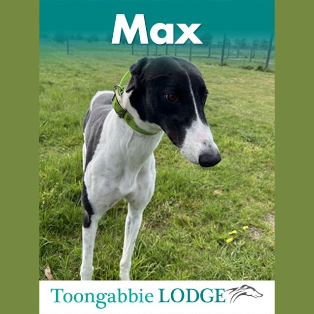 Photo of Digger/Max