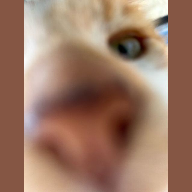 Photo of Paul