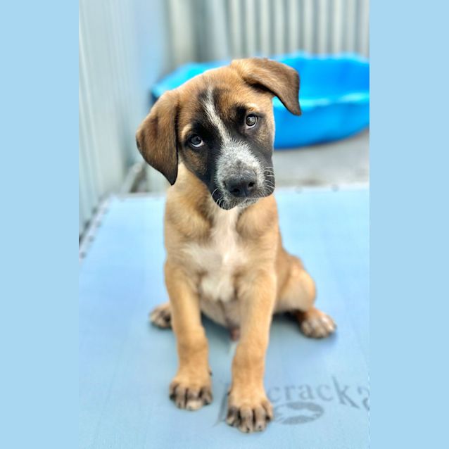 Photo of Clyde