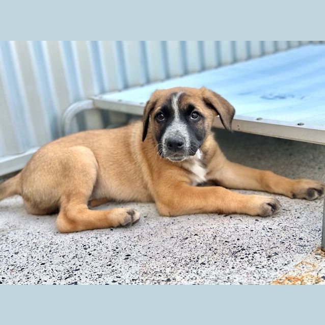 Photo of Clyde