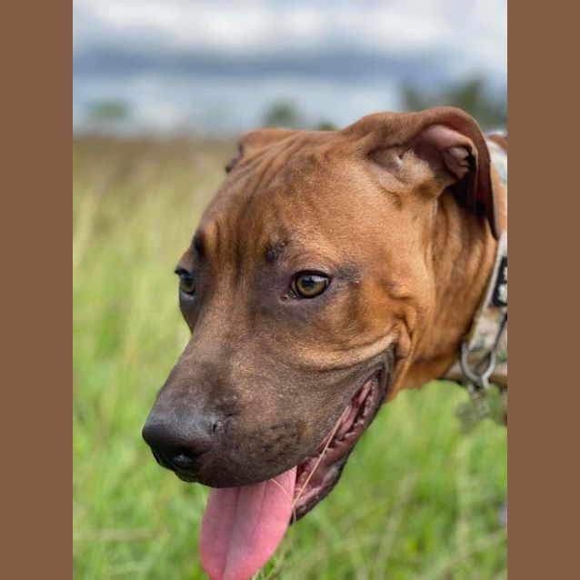 Photo of Ace